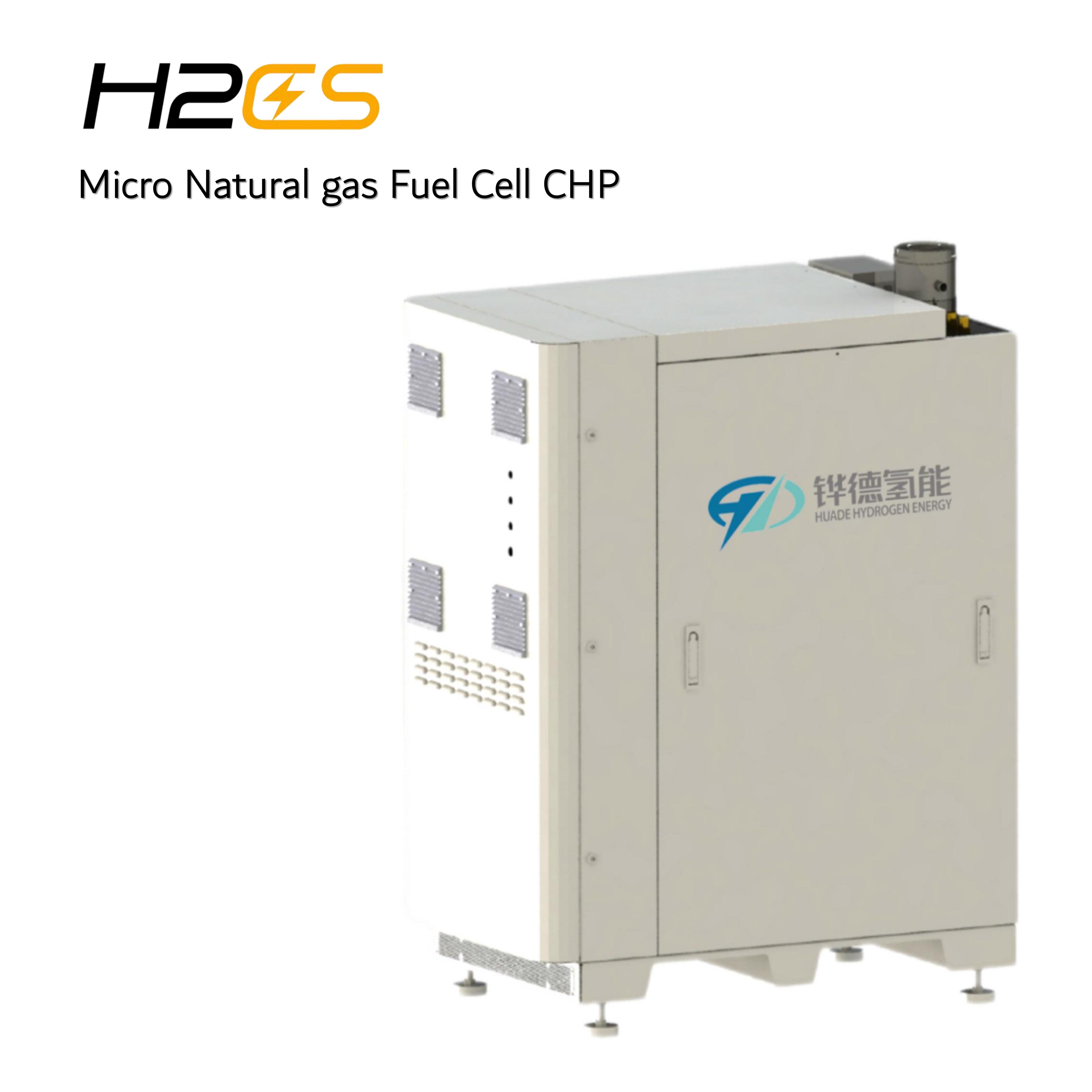 التوليد المشترك لخلايا الوقود المنزلي استخدام نظام CHP