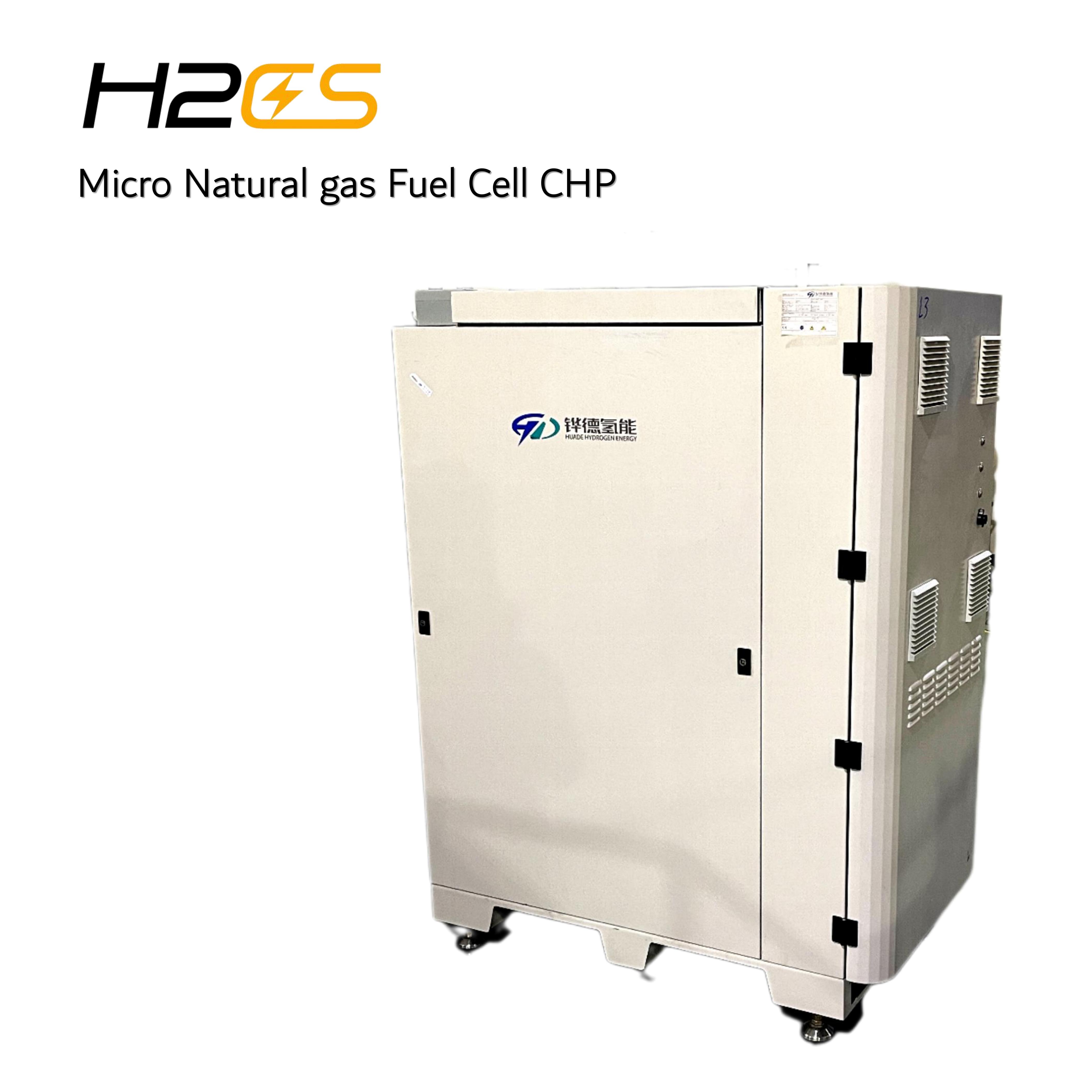 Flow Micro الغاز الحيوي وحدة CHP المحلية
